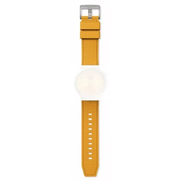 Swatch Amber Sheen ASB07S103