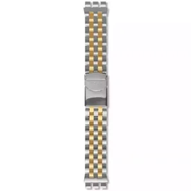 Swatch Sobro Strap AYVS403G